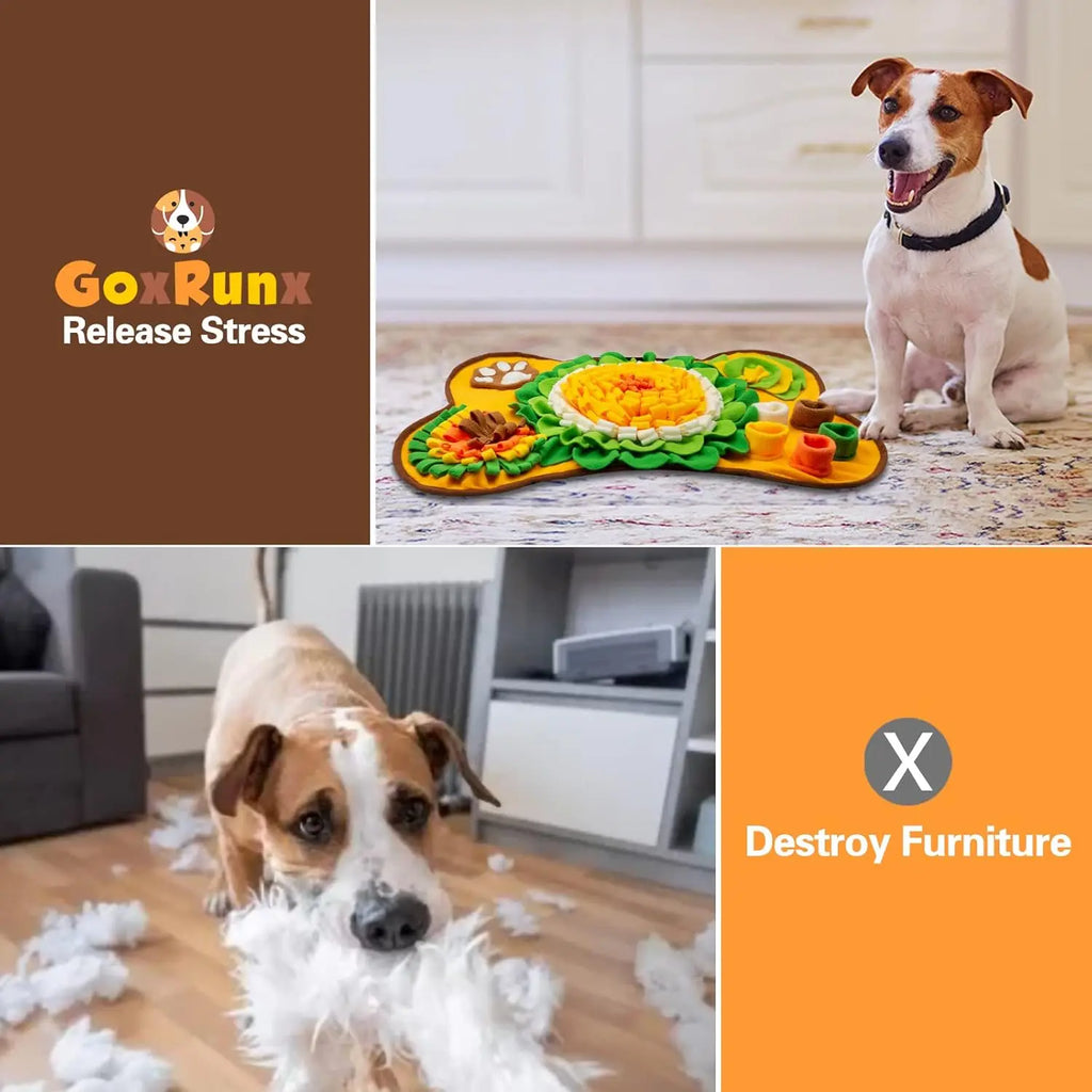Interactive Dog Snuffle Mat & Slow Feeder