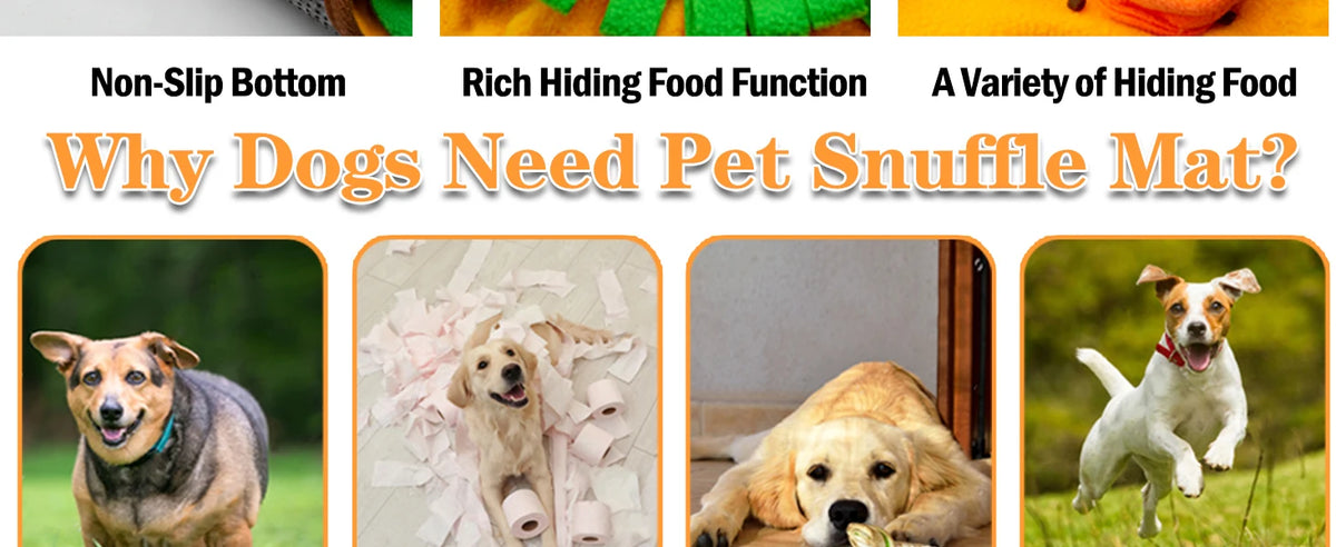 Interactive Dog Snuffle Mat & Slow Feeder