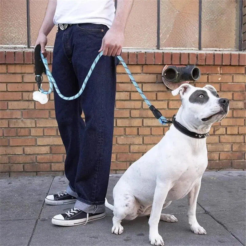 Reflective Rope Dog Leash with Padded Comfort Handle