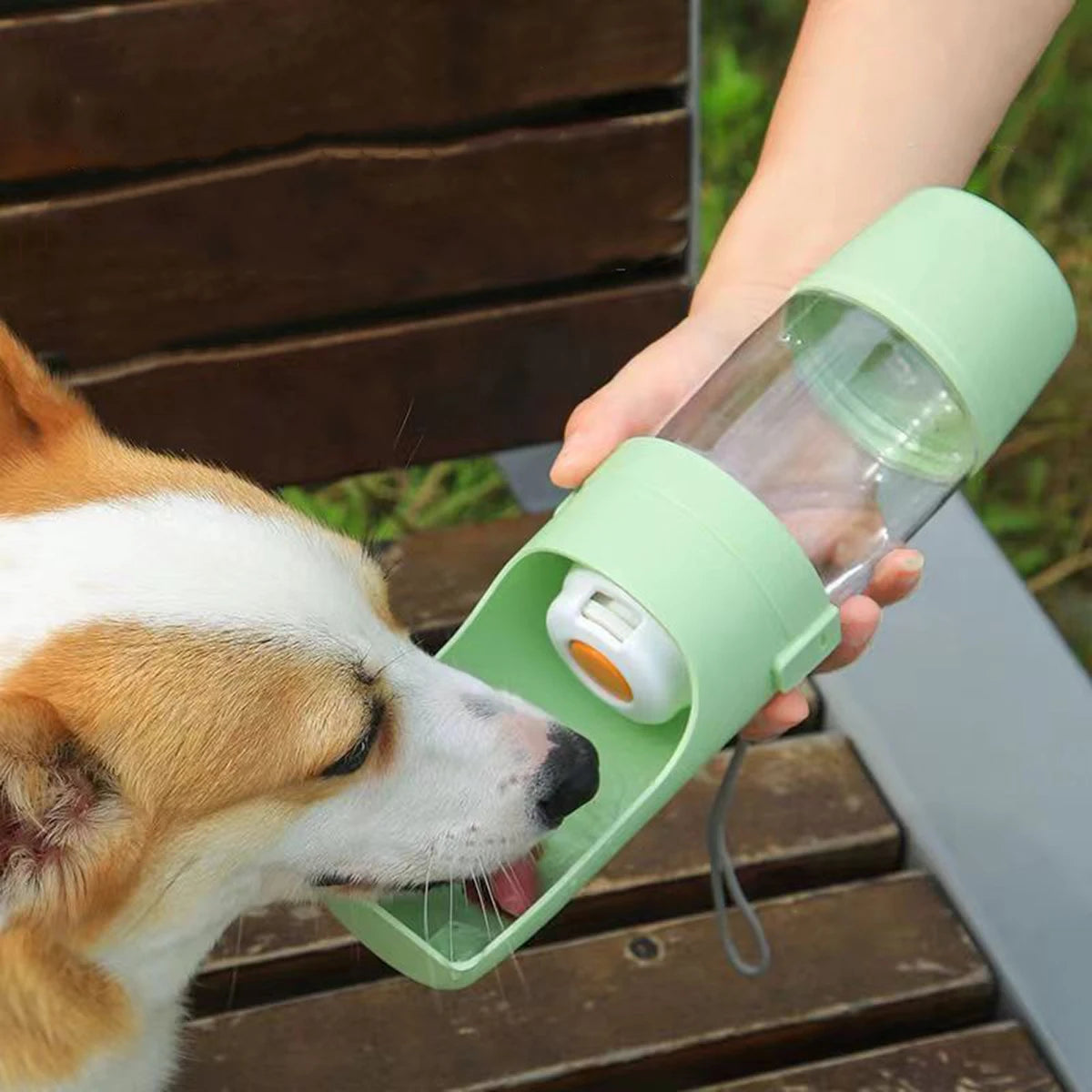 Portable Dog Water Bottle & Treat Container
