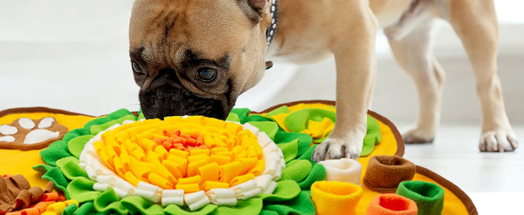 Interactive Dog Snuffle Mat & Slow Feeder