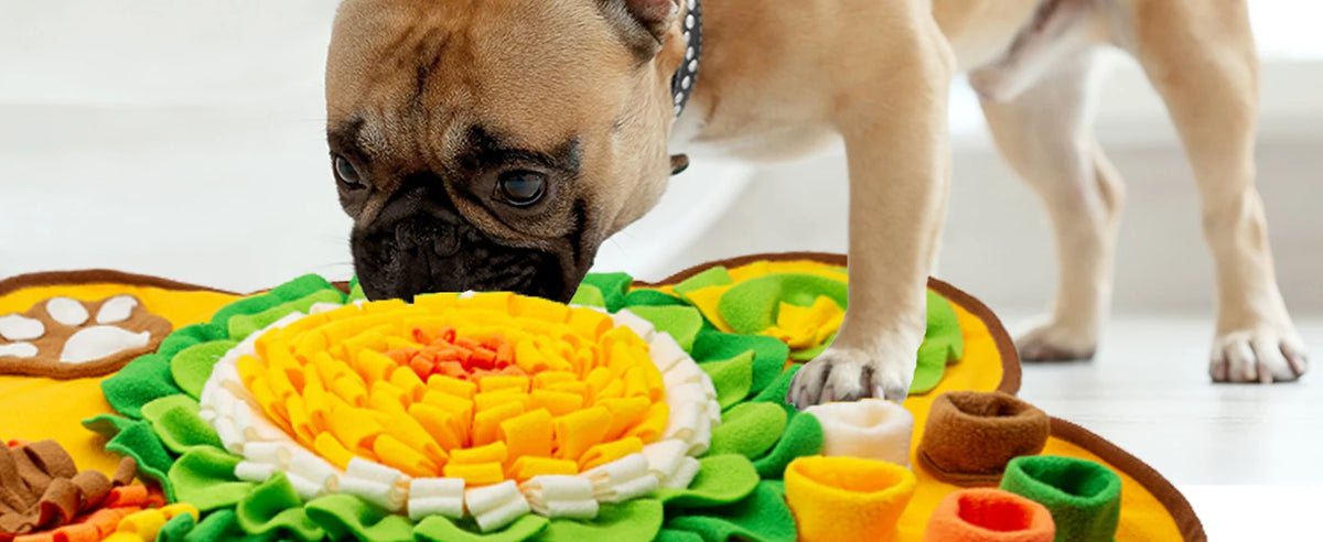 Interactive Dog Snuffle Mat & Slow Feeder