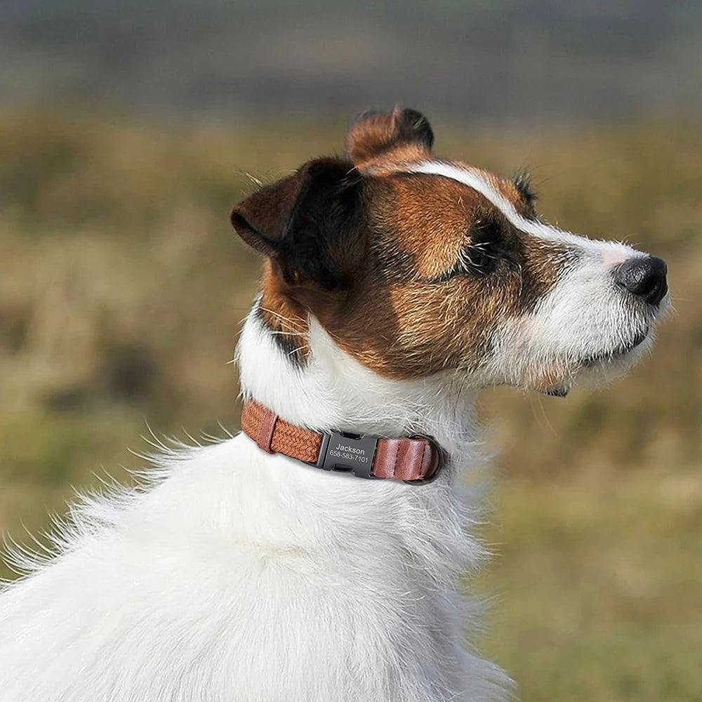 Personalized Adjustable Dog Collar with Custom Nameplate