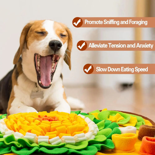 Interactive Dog Snuffle Mat & Slow Feeder