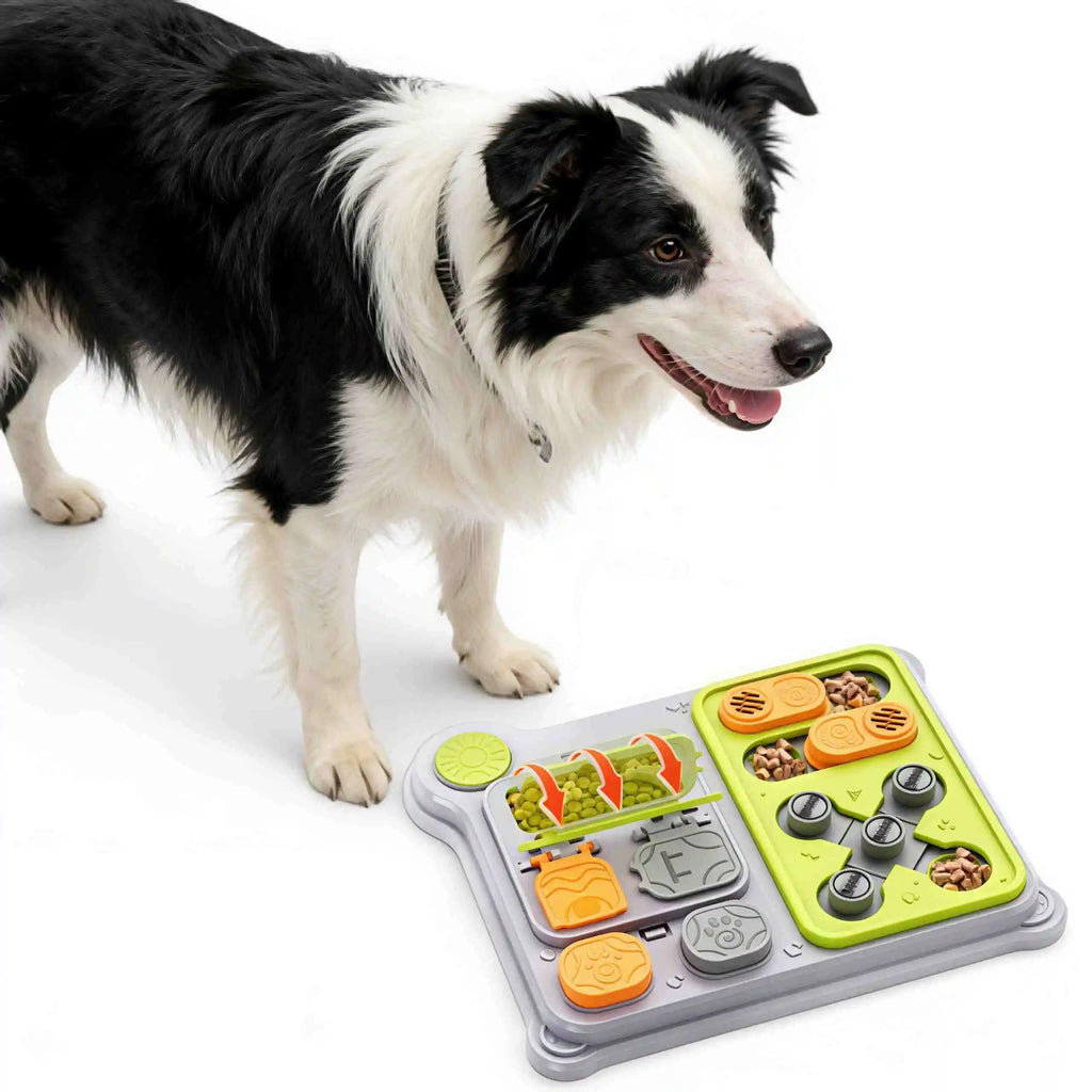 Interactive Dog Puzzle & Treat Feeder