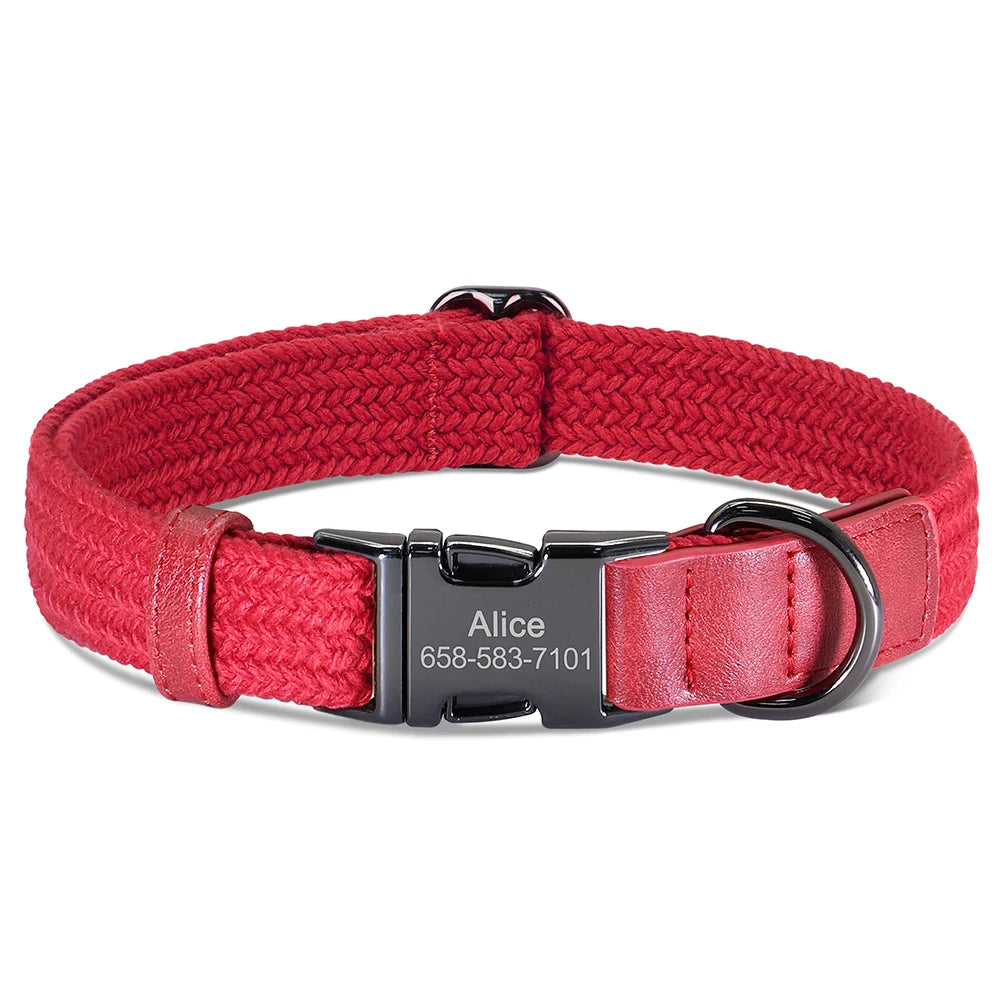 Personalized Adjustable Dog Collar with Custom Nameplate