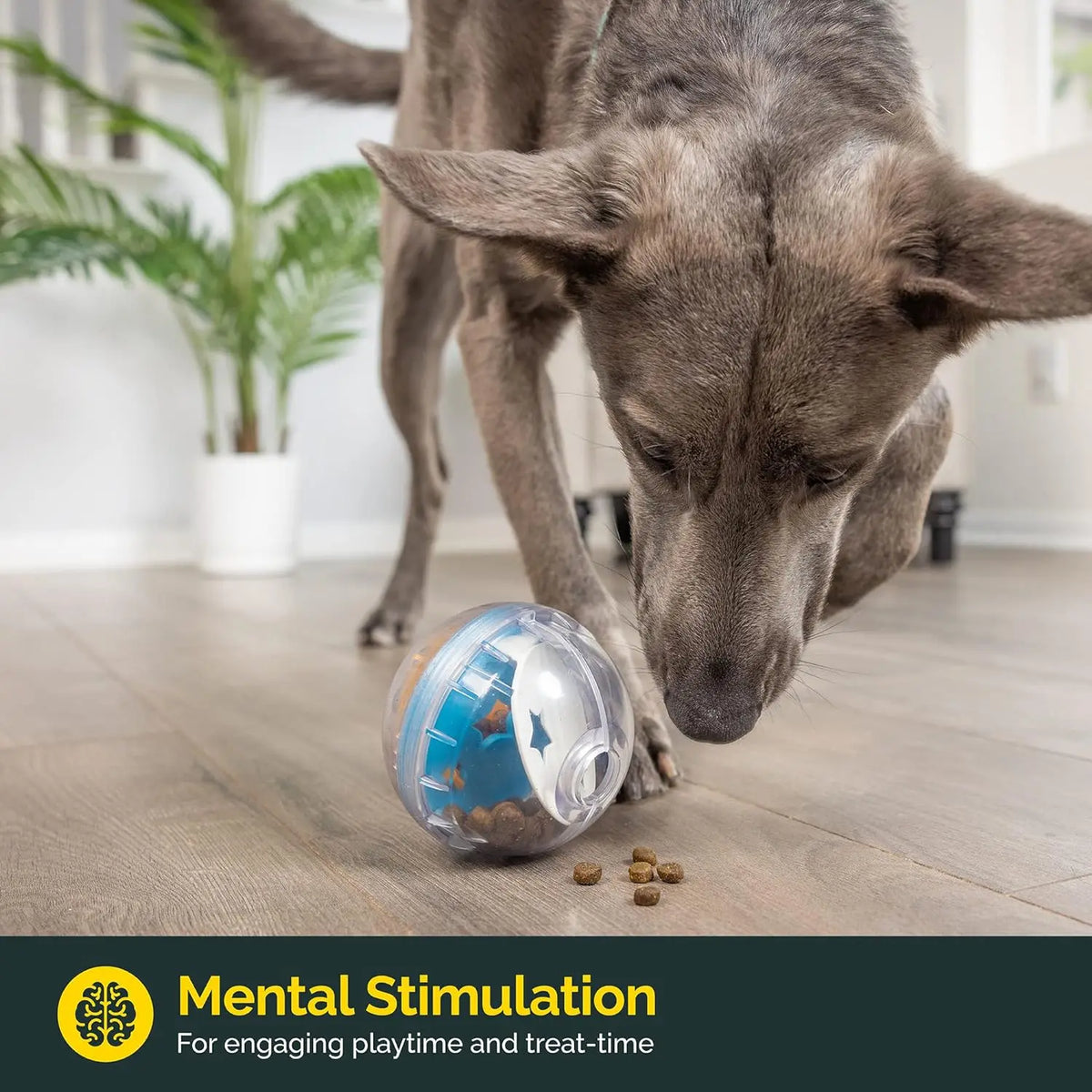 Interactive Dog Treat Puzzle Ball