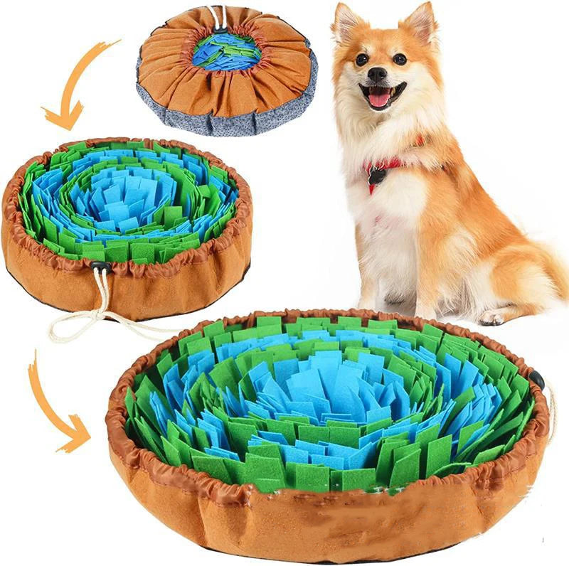 Interactive Dog Snuffle Mat & Slow Feeder