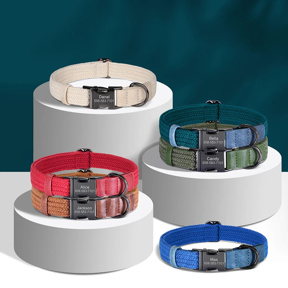 Personalized Adjustable Dog Collar with Custom Nameplate