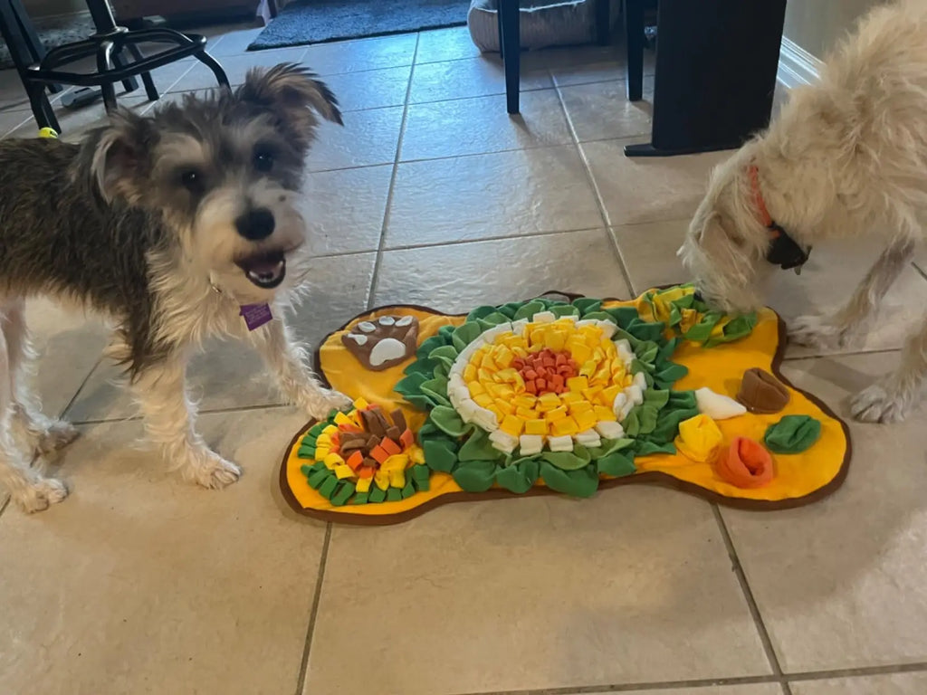 Interactive Dog Snuffle Mat & Slow Feeder