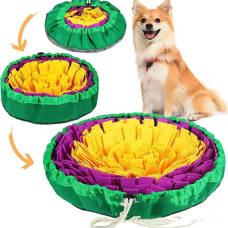 Interactive Dog Snuffle Mat & Slow Feeder