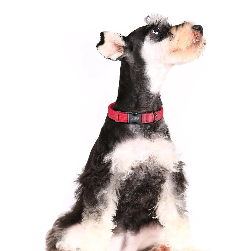 Personalized Adjustable Dog Collar with Custom Nameplate
